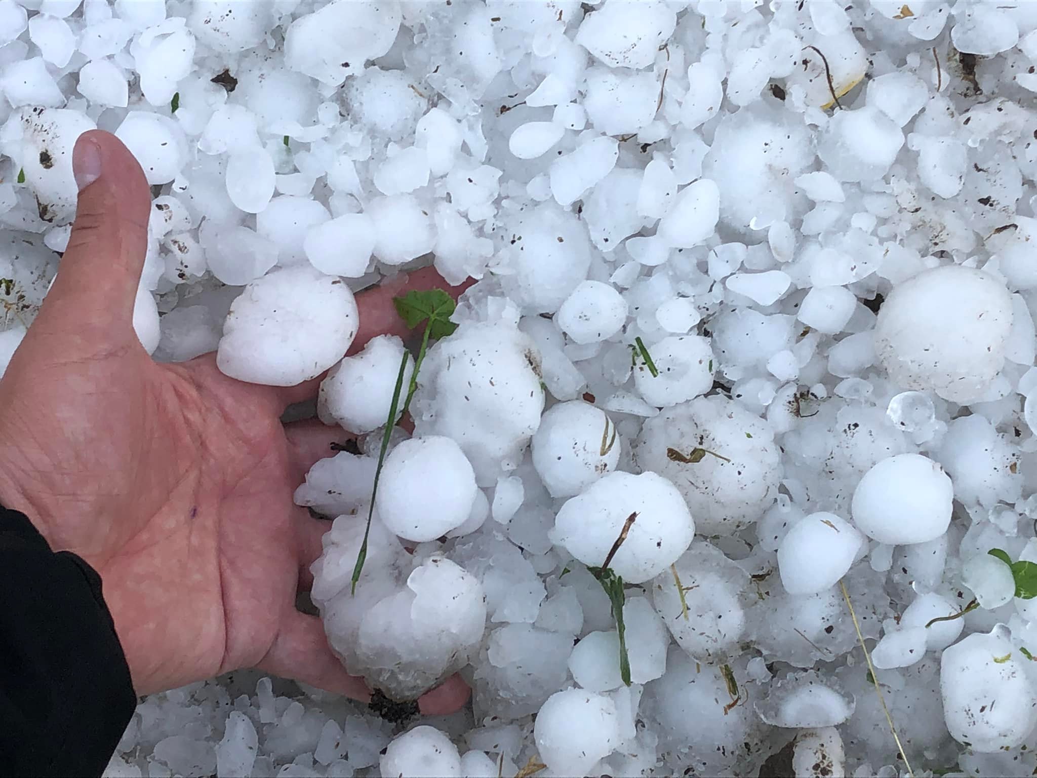 Tuča Veliki Bukovec