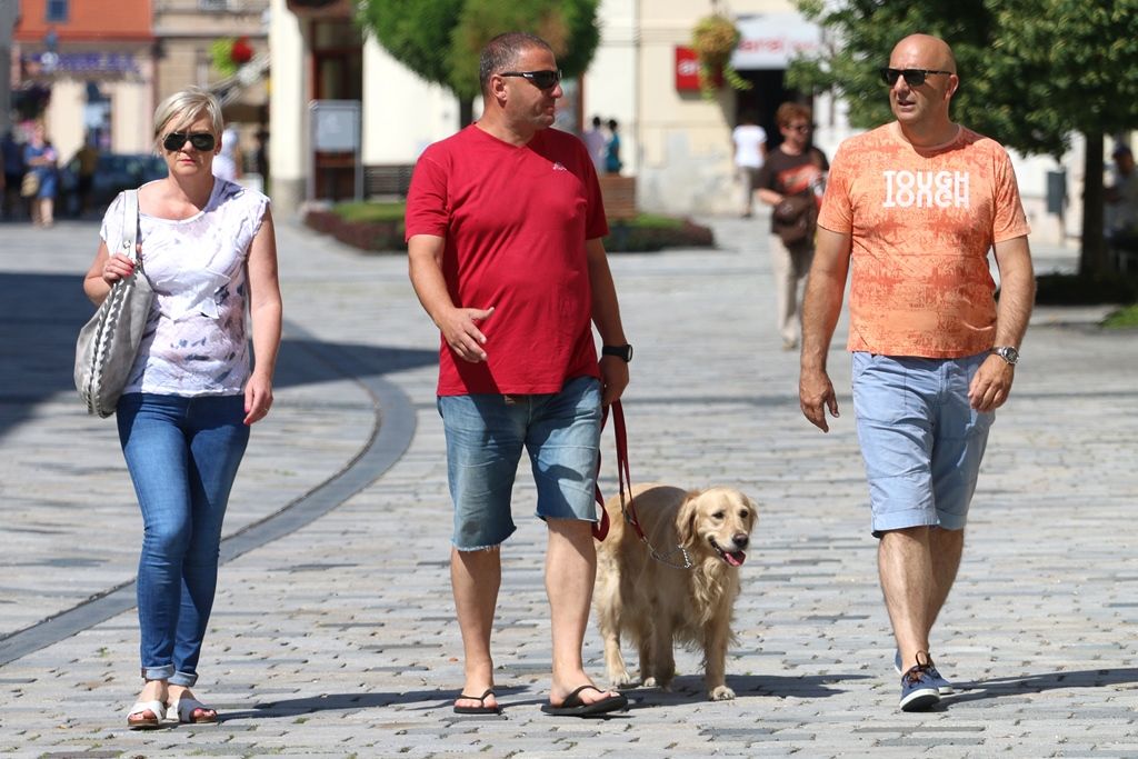 klikompovarazdinu04480260