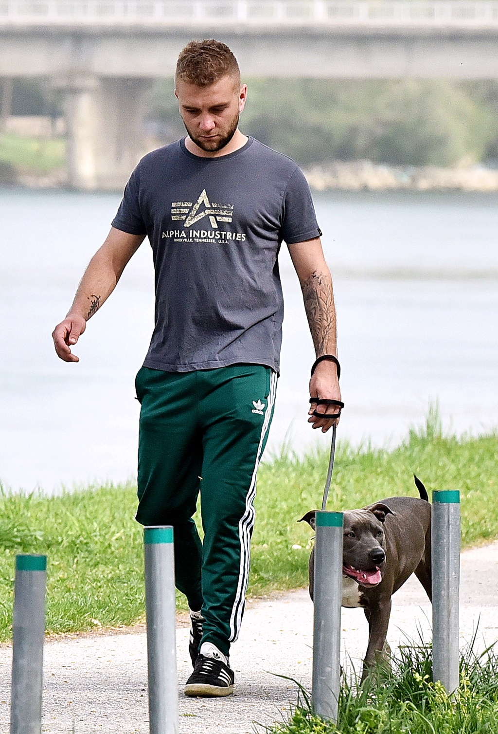 Image 6004923 (auto)