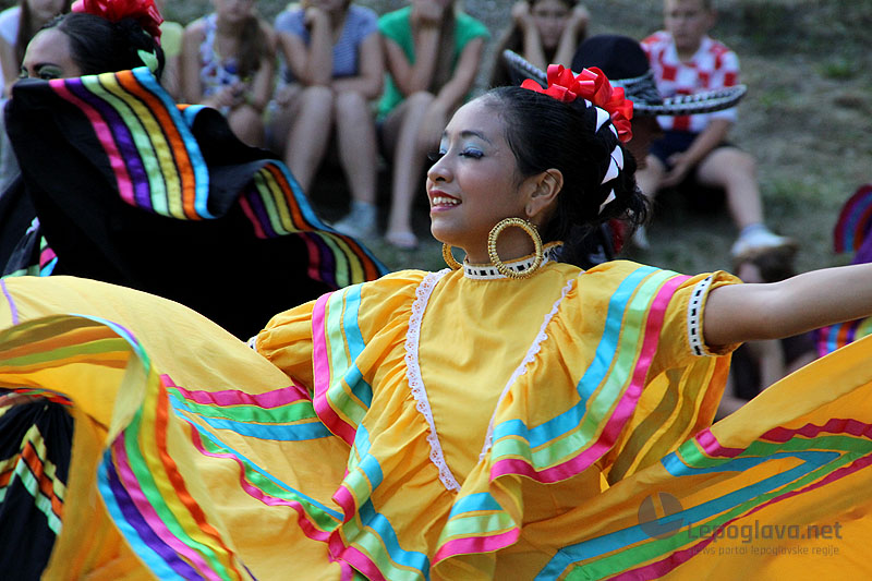 mekasikanciuvisnjici28874502