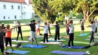 Image 2703017 (auto) Image 2703017 (auto)