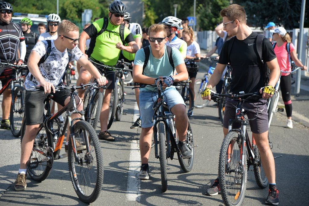 udripopedalitts17832461