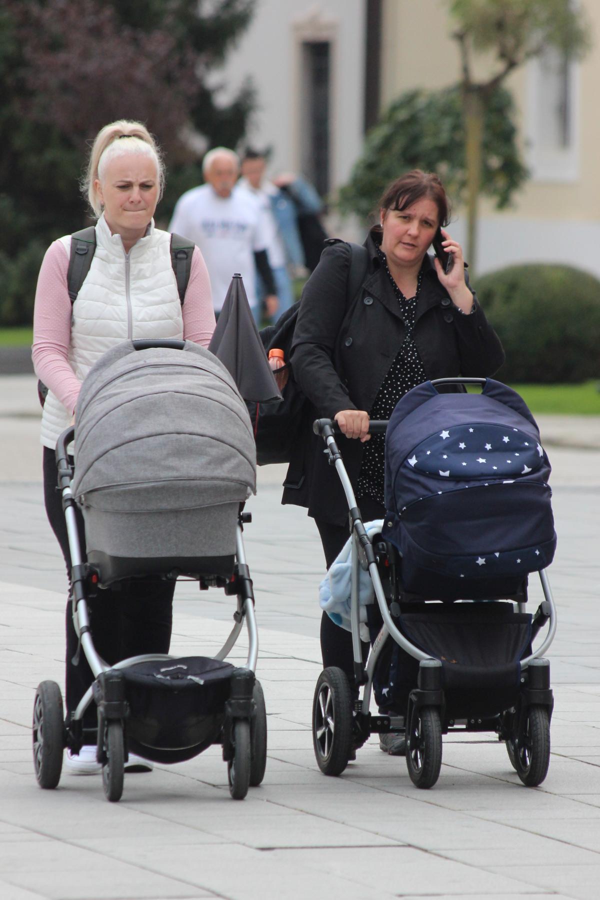 Image 5494946 (auto)