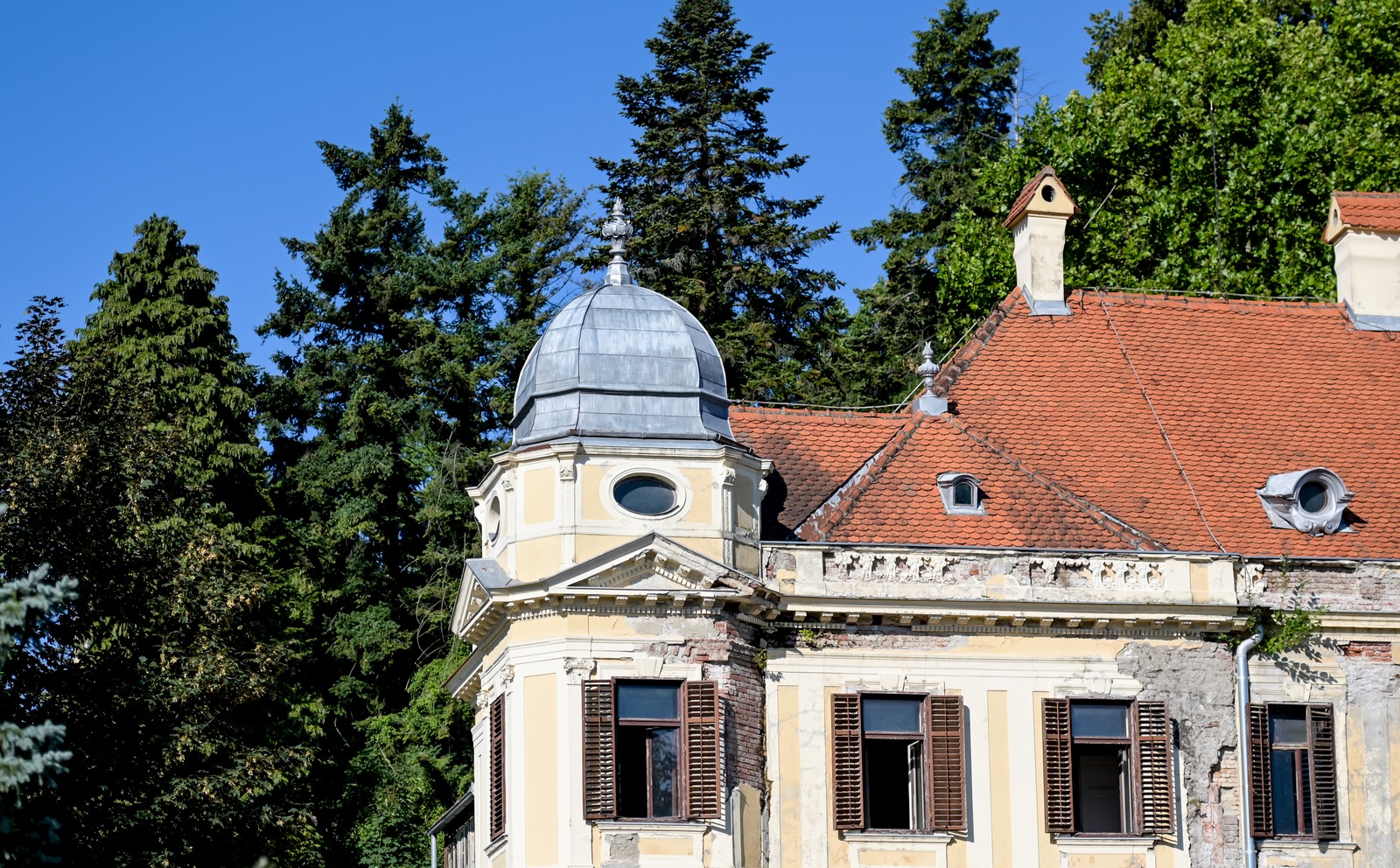 Image 5425502 (auto)