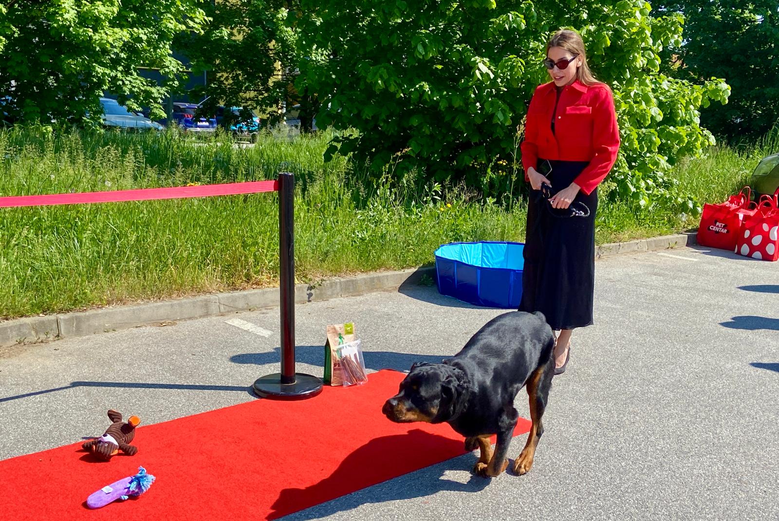 Otvorenje Pet centra