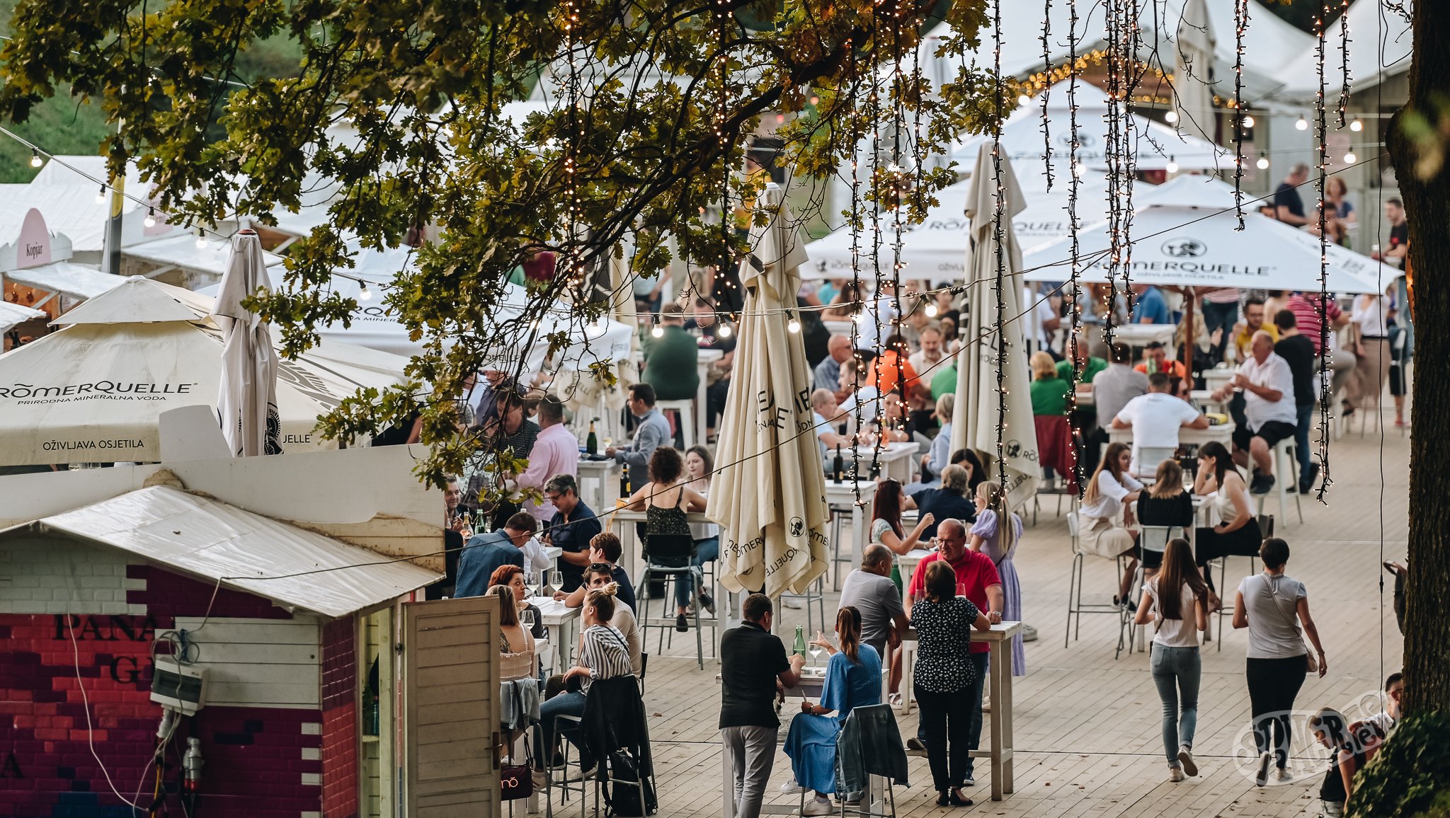 Image 5455204 (auto)