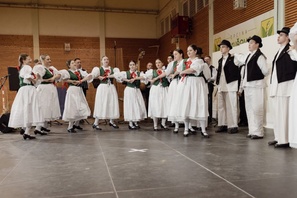 Image 5911801 (auto)