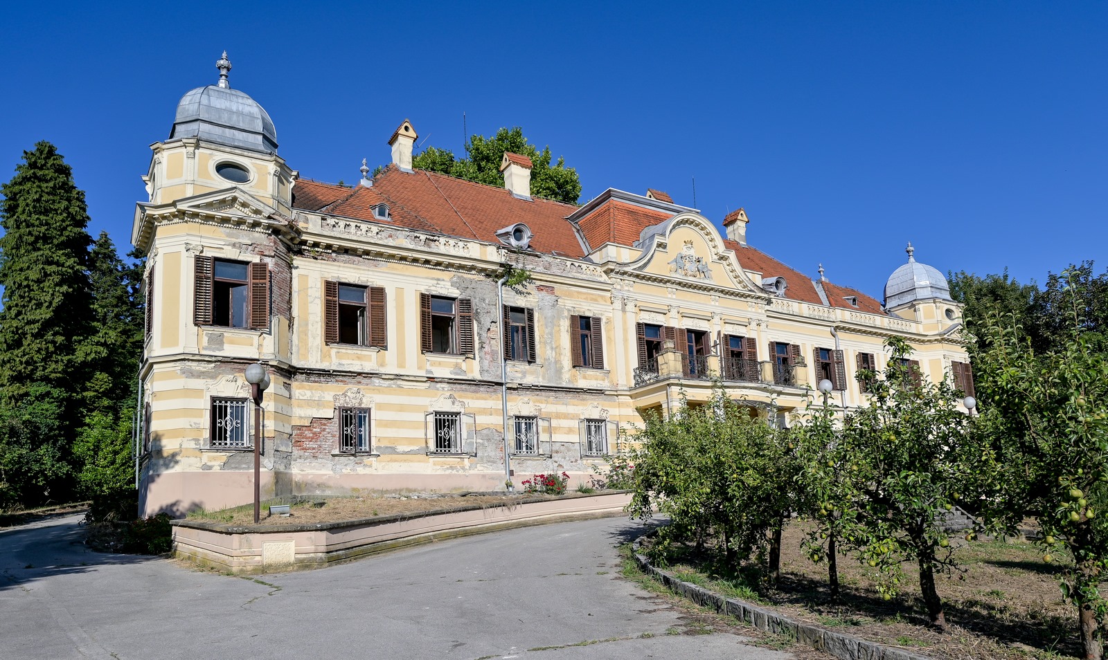 Image 5425474 (auto)