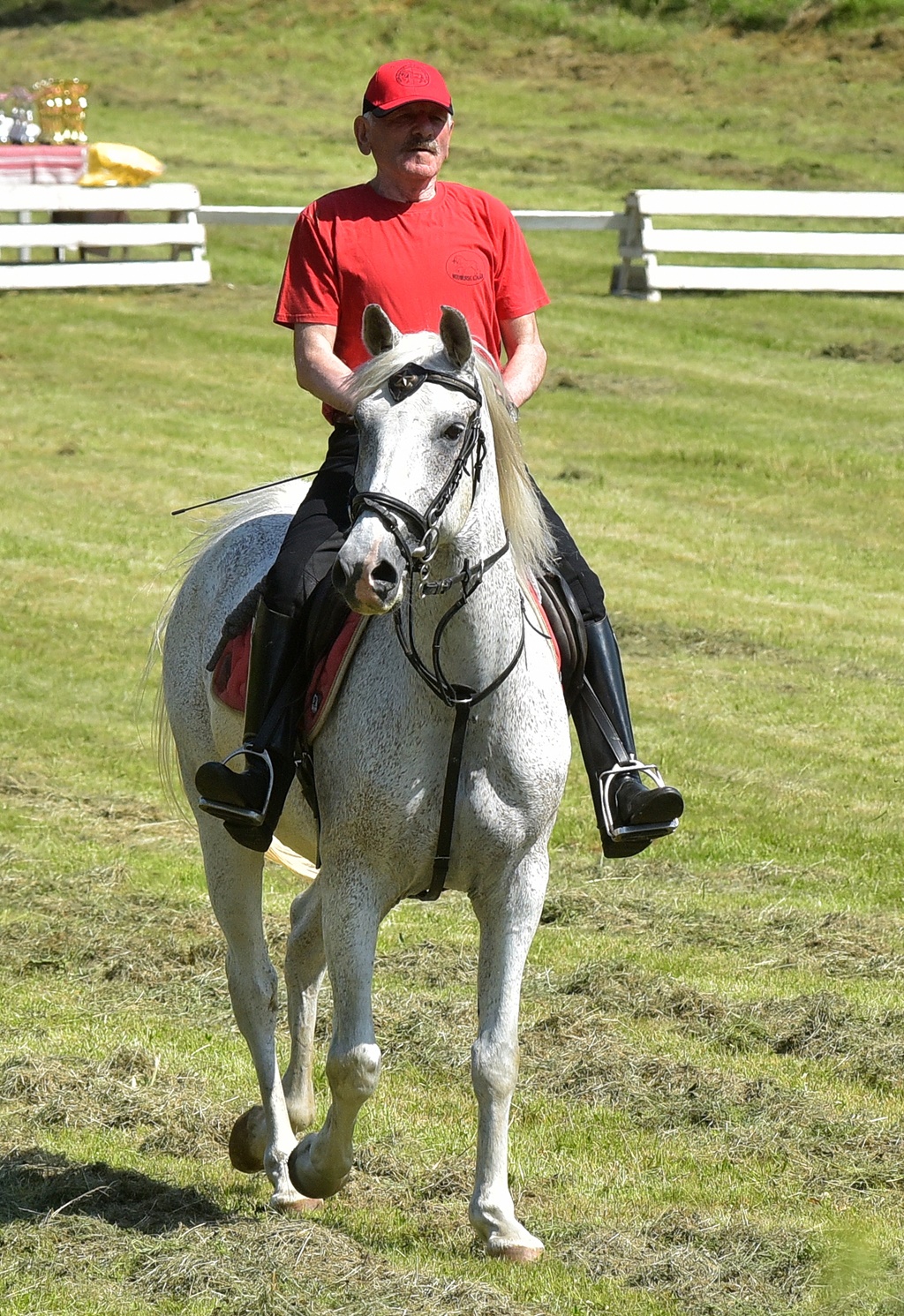 Image 5377146 (auto)