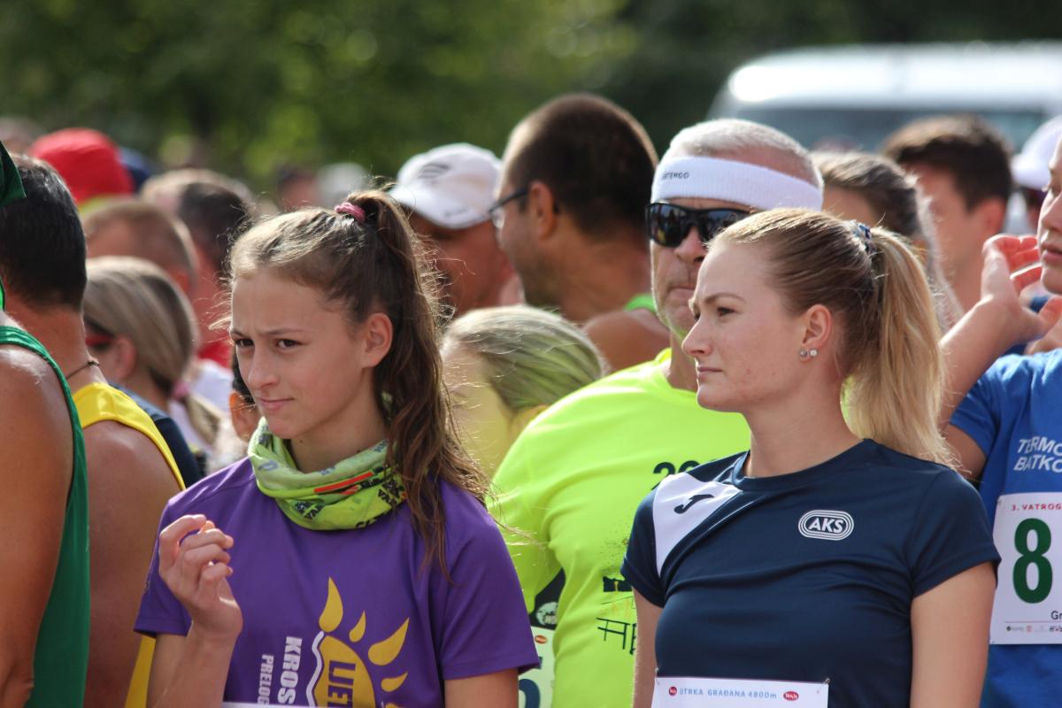 Image 5475896 (auto)