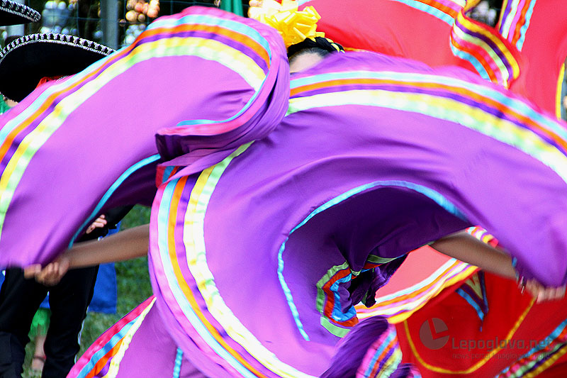 mekasikanciuvisnjici25794345