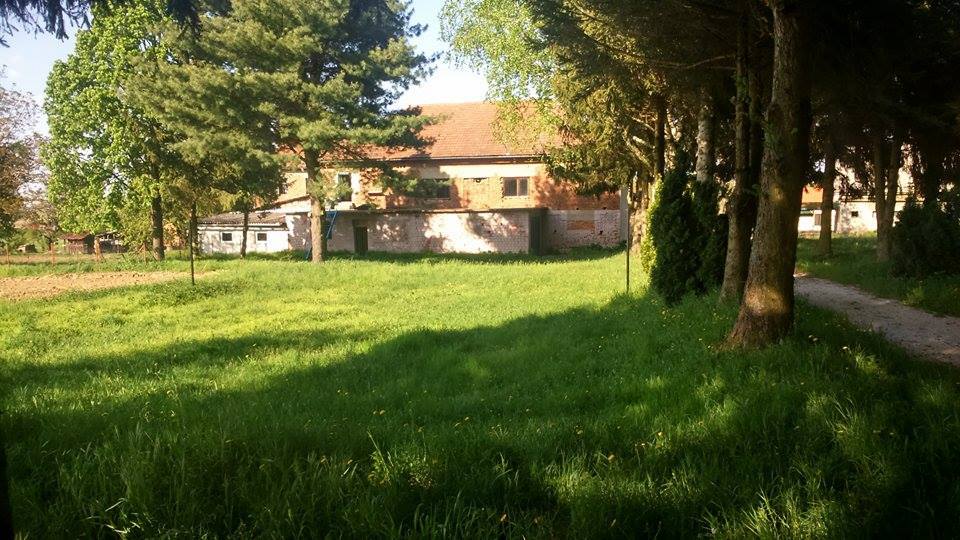 bolfandrustvenidom18634599