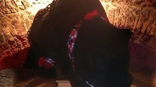 1341892210614853672639282851557