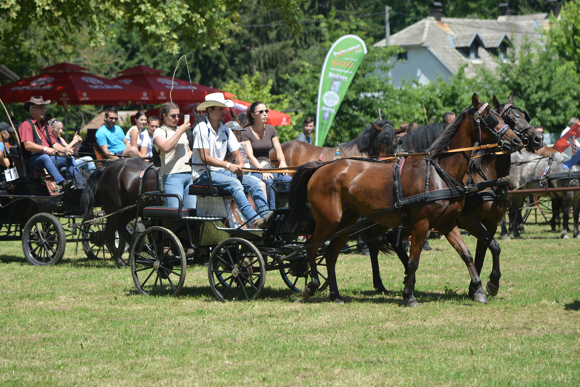 Konjičke i igre u Zelendvoru Konjičke i igre u Zelendvoru