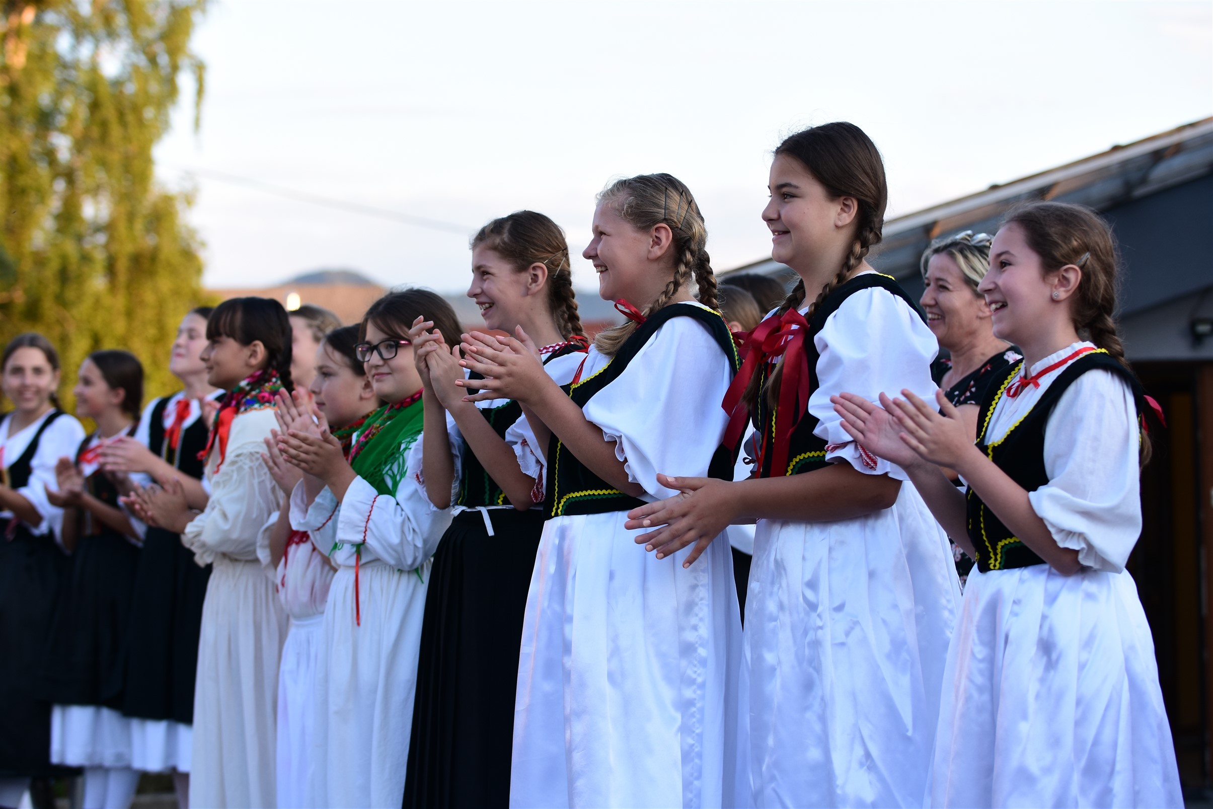 Image 5418974 (auto)