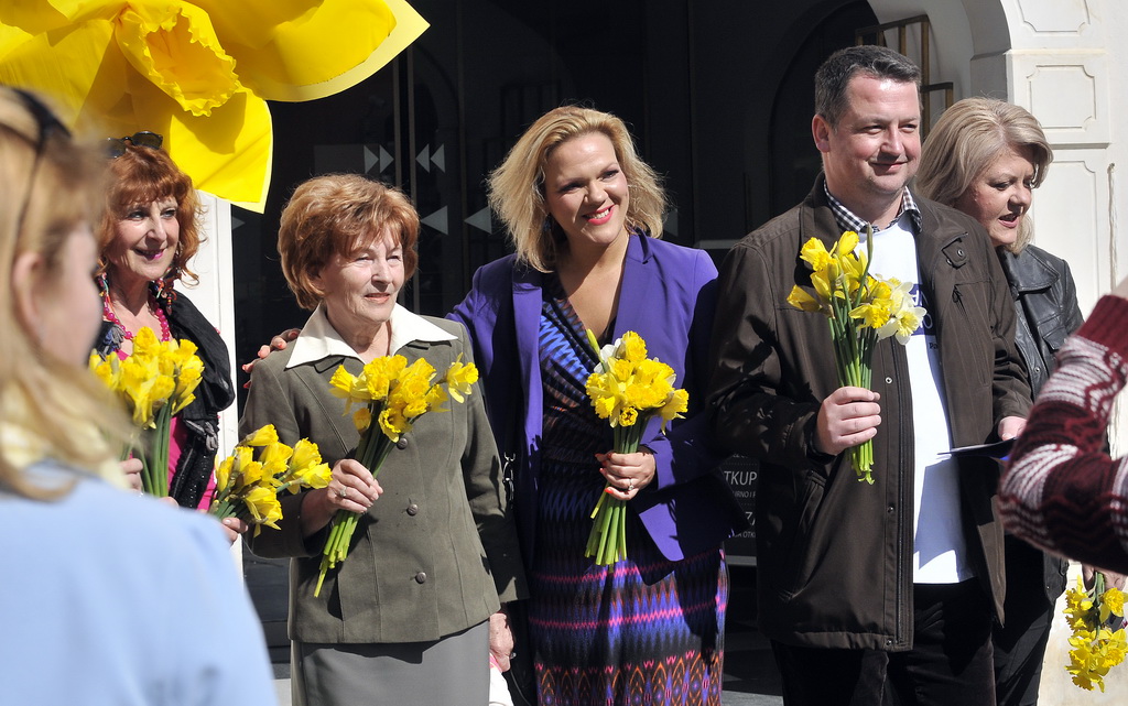 Dan narcisa Dan narcisa