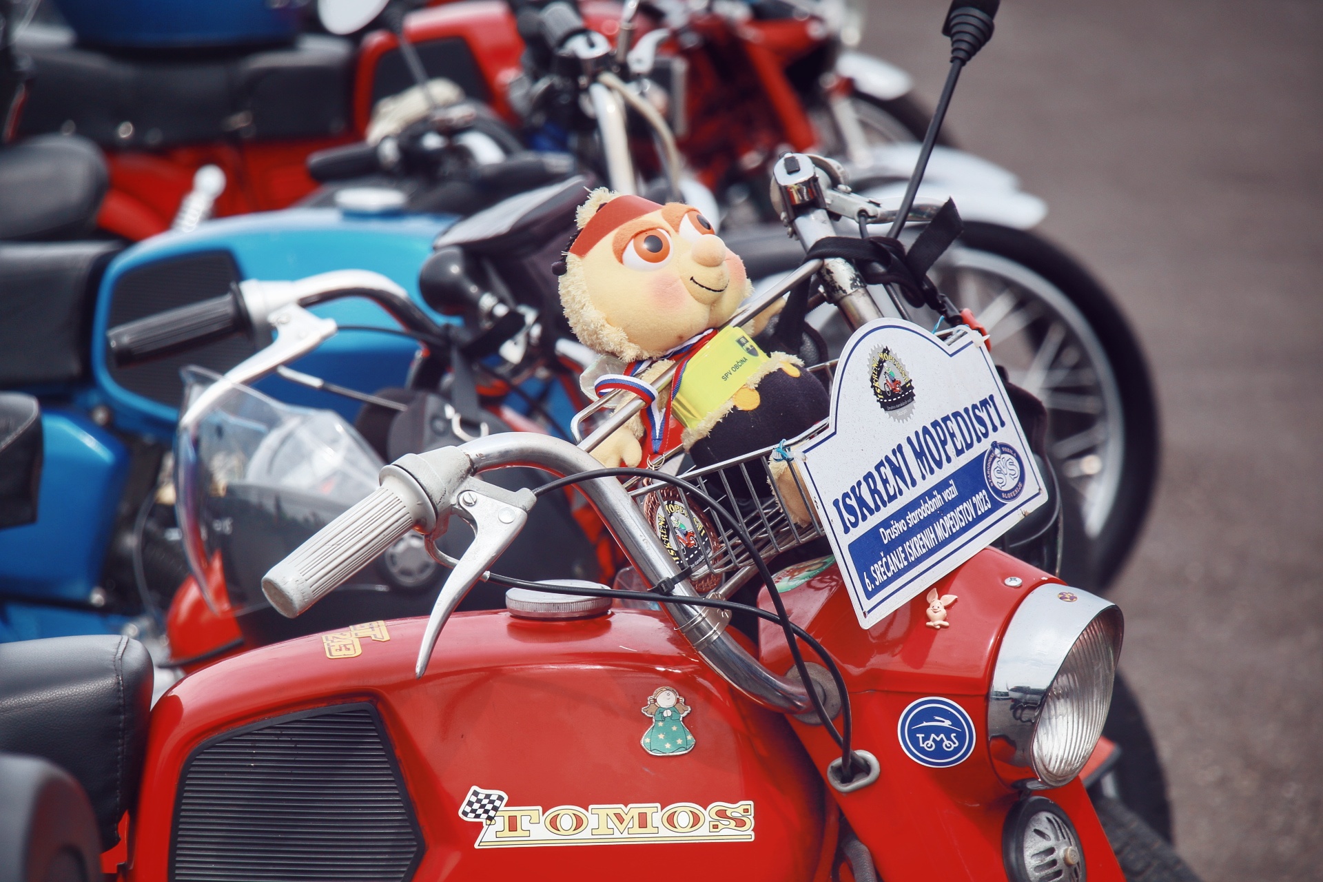 Image 5825471 (auto)