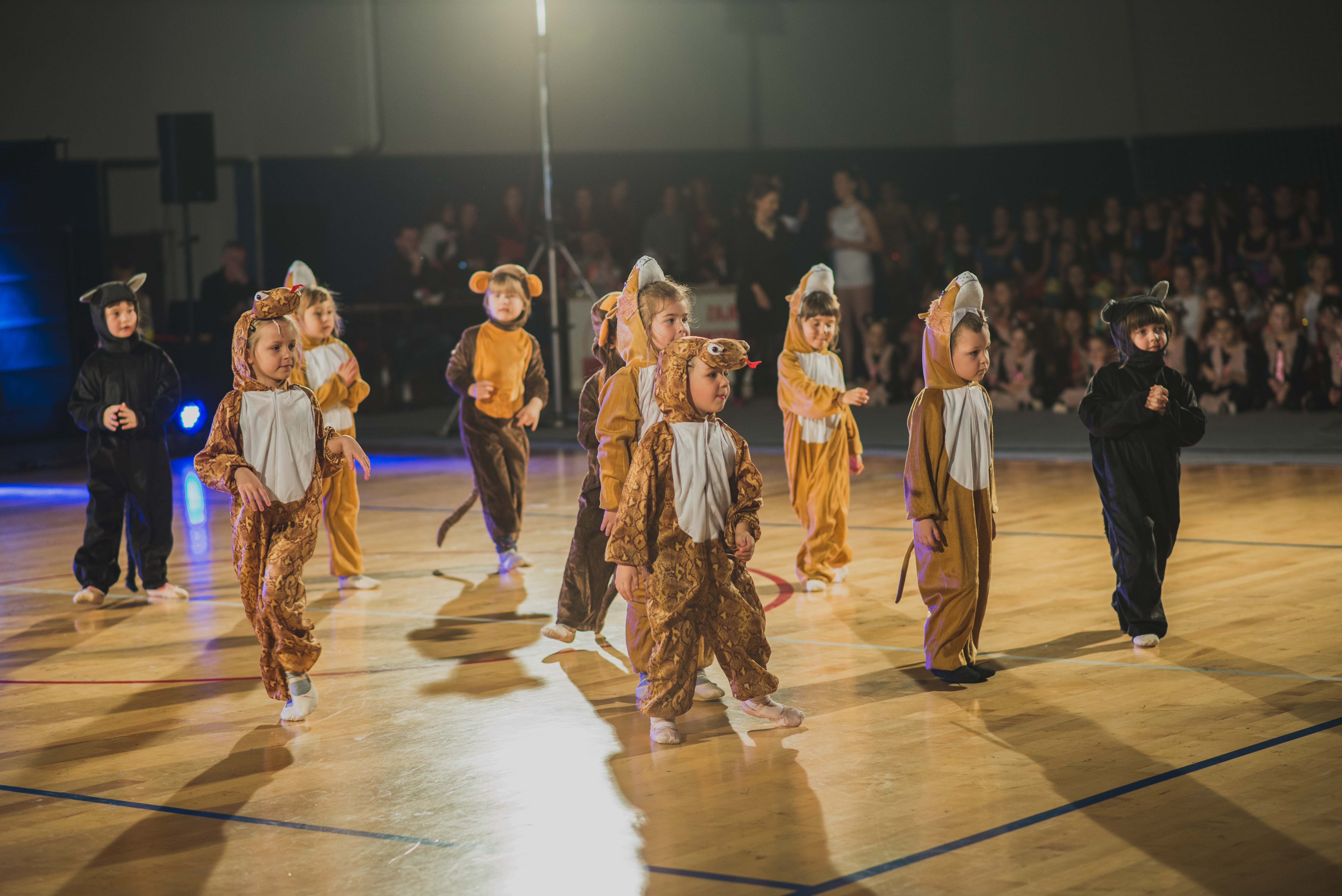 Ples, plesni klub plan b Ples, plesni klub plan b