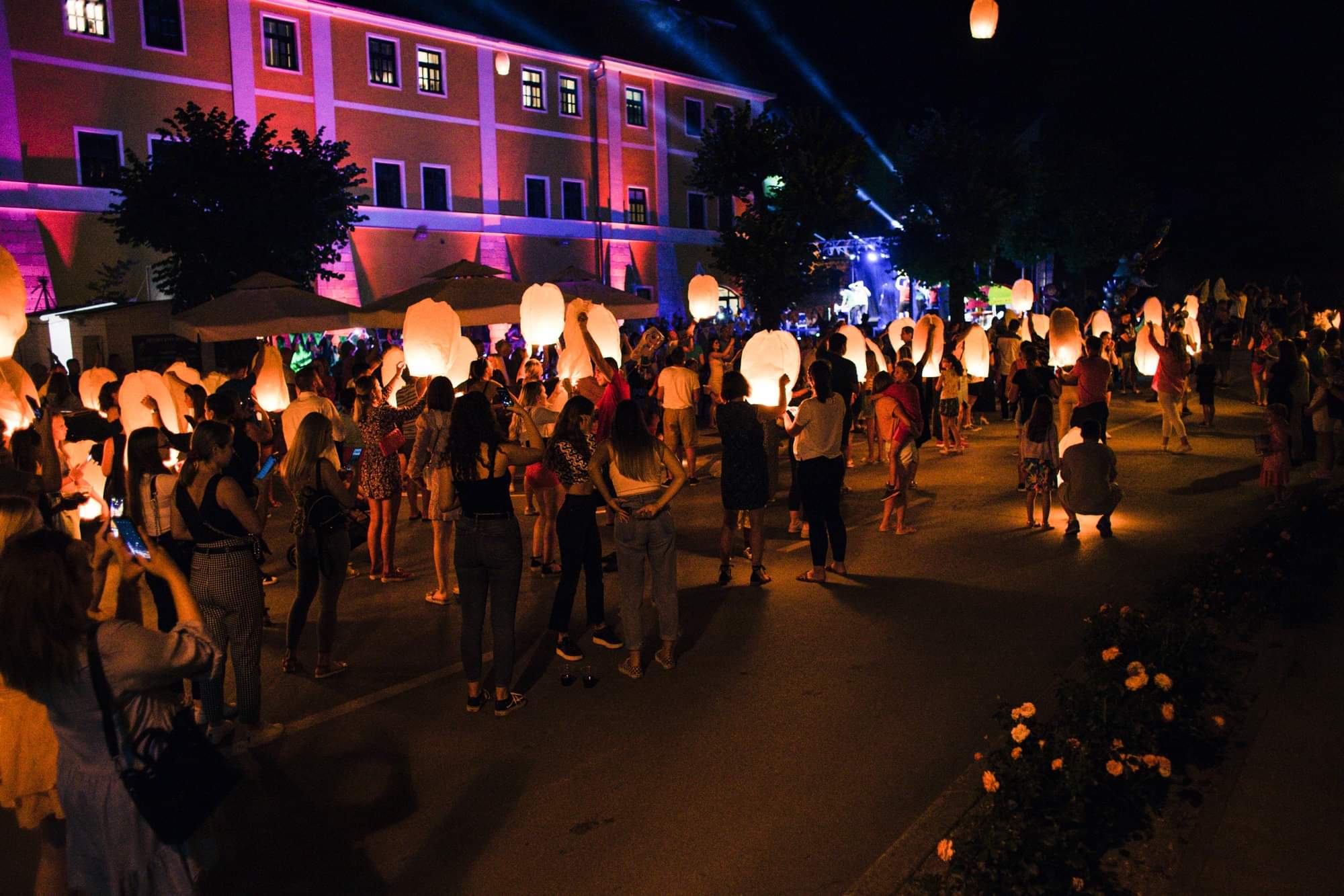 Image 5440258 (auto)