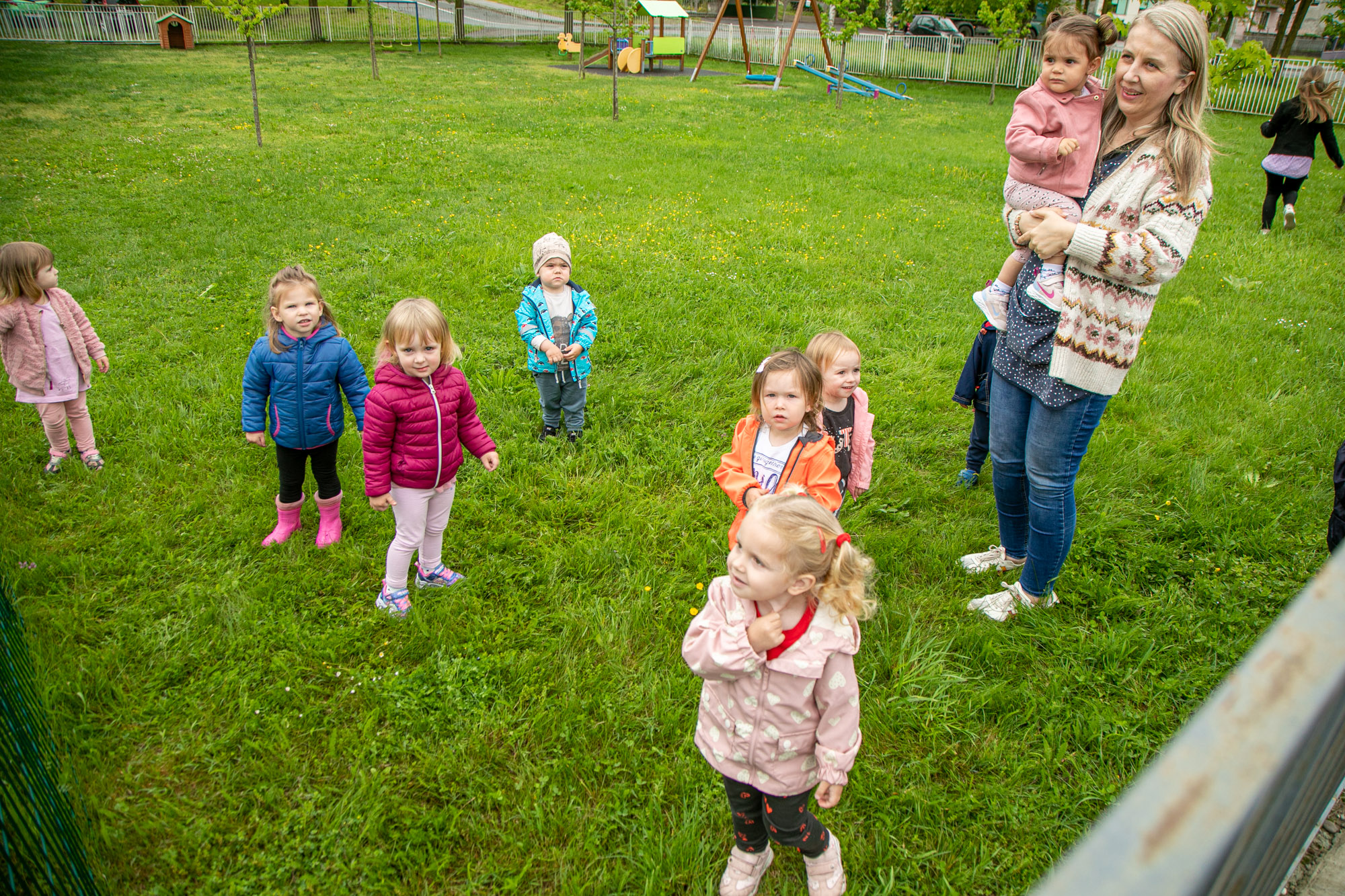 Image 5699387 (auto)