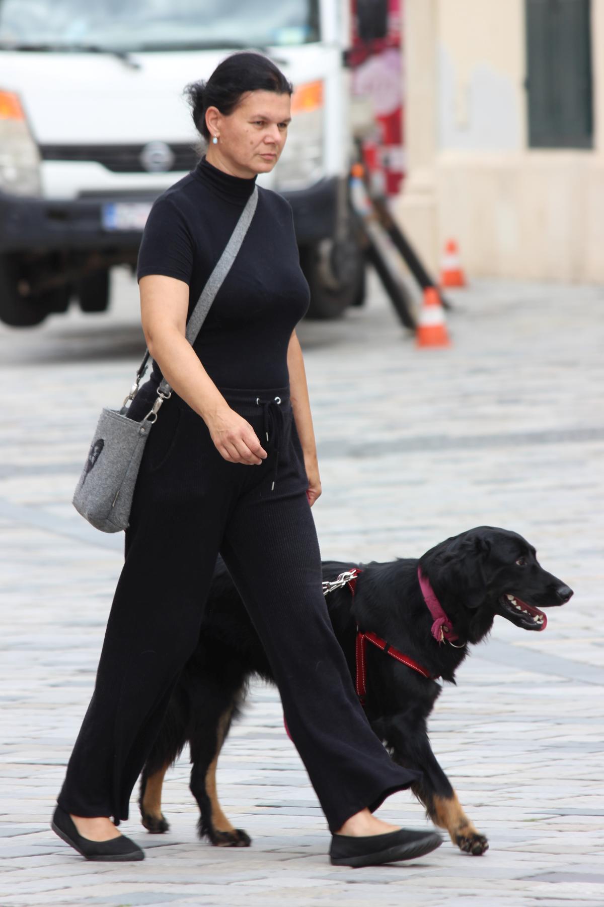 Image 5441972 (auto)