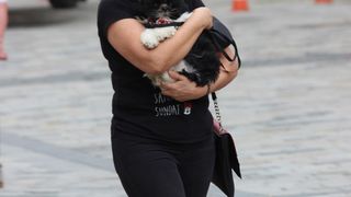 Image 5441974 (auto)