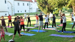 Image 2703025 (auto) Image 2703025 (auto)