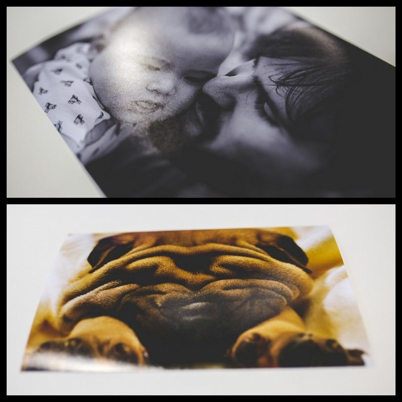 bazinga2264fotorcollage535258