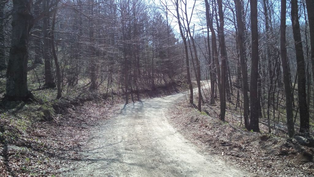 20150411113400891340