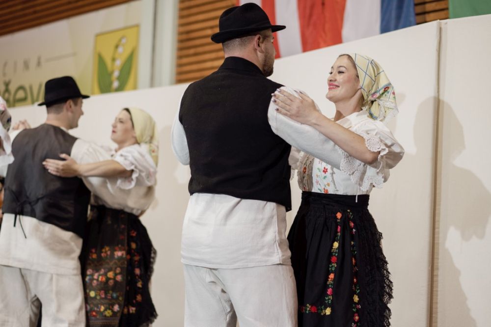 Image 5911849 (auto)