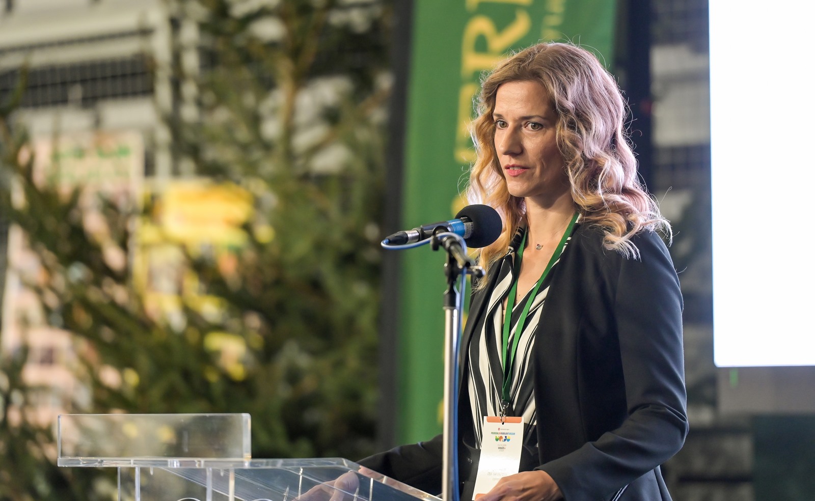 Image 5861197 (auto)