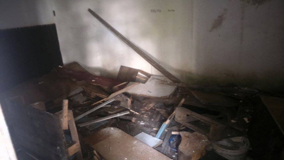 bolfandrustvenidom14488195