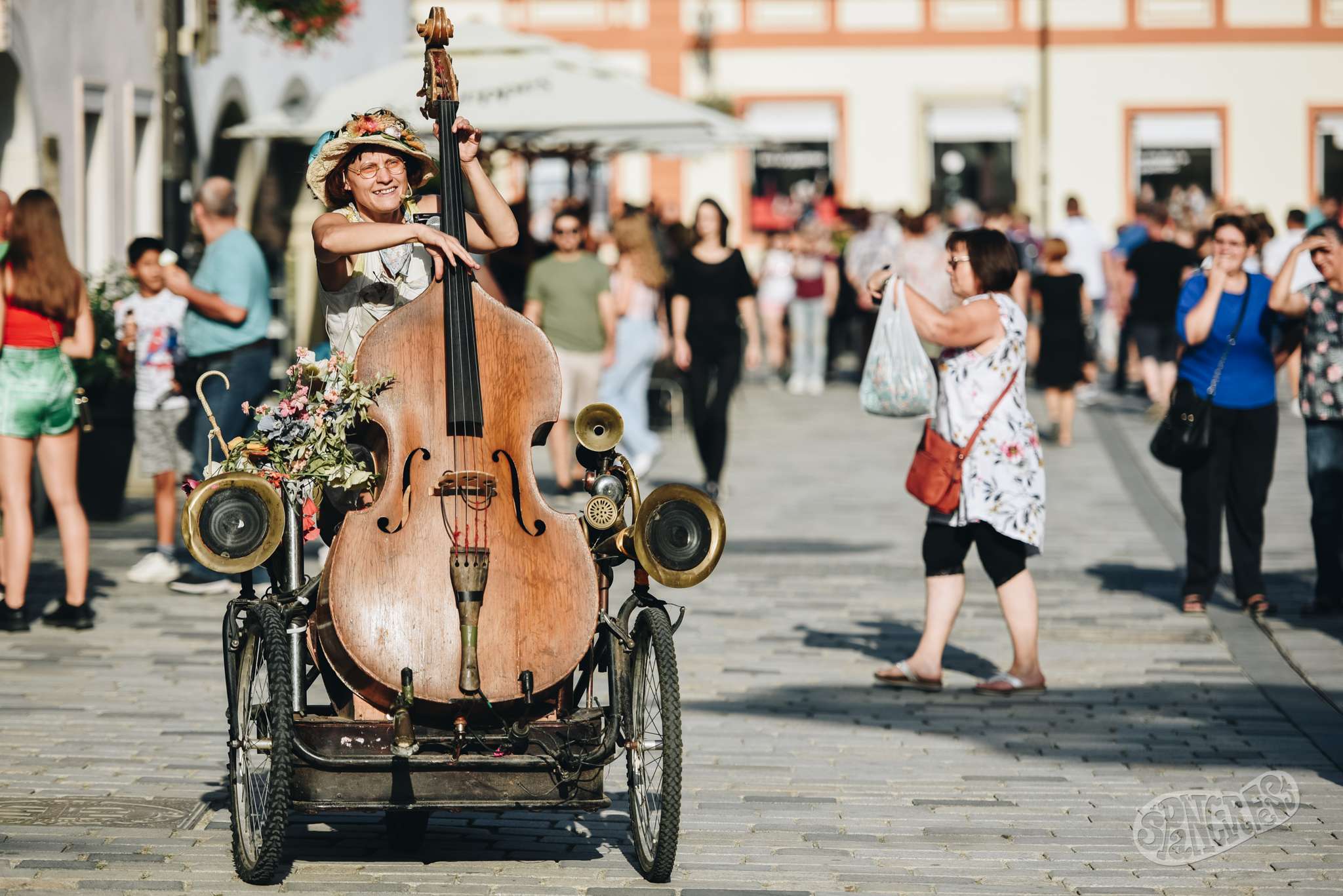 Image 5460122 (auto)