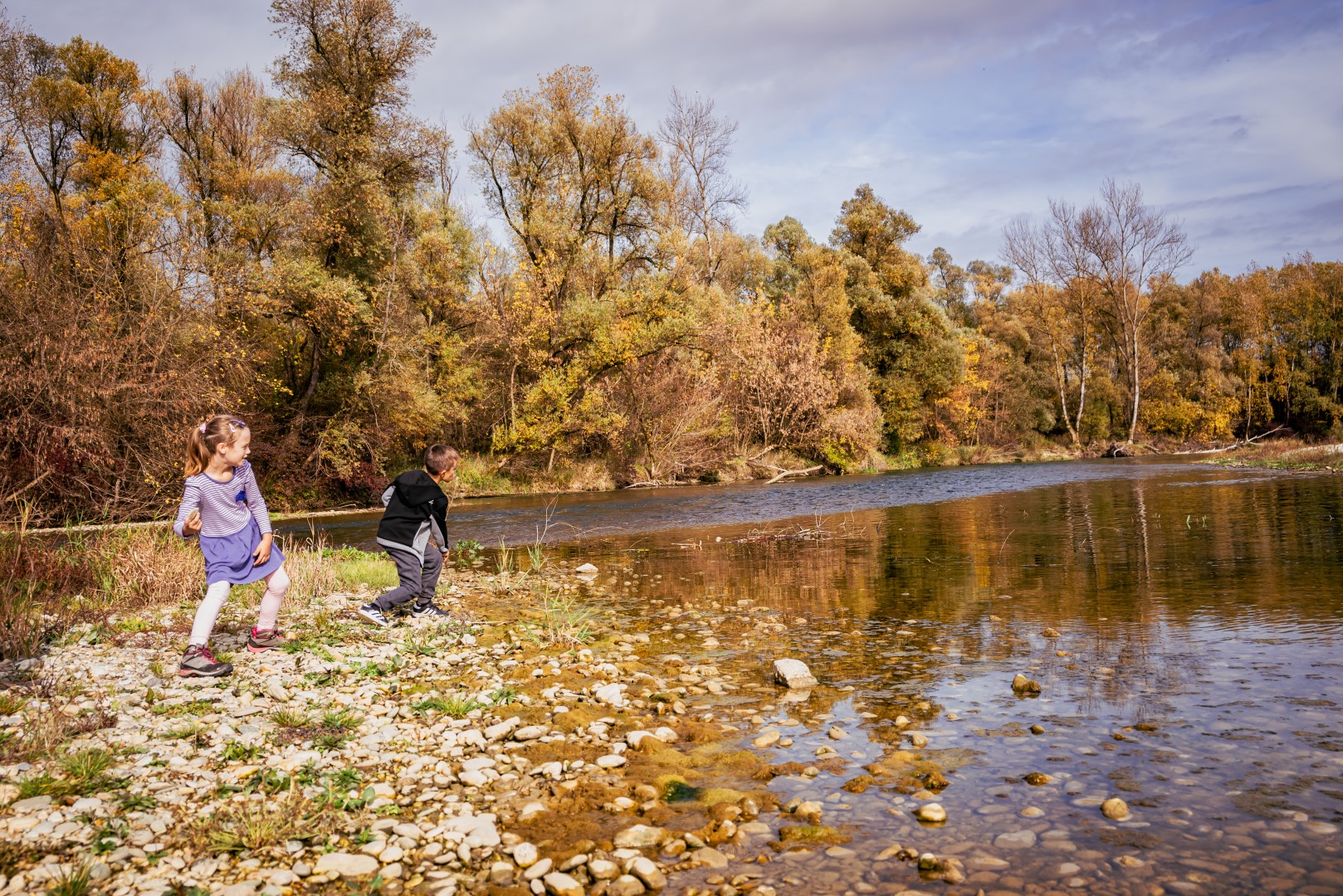 Image 5505996 (auto)