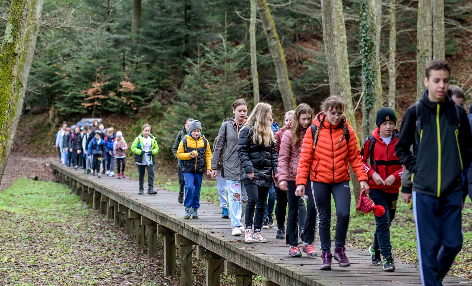 Image 5580865 (auto)