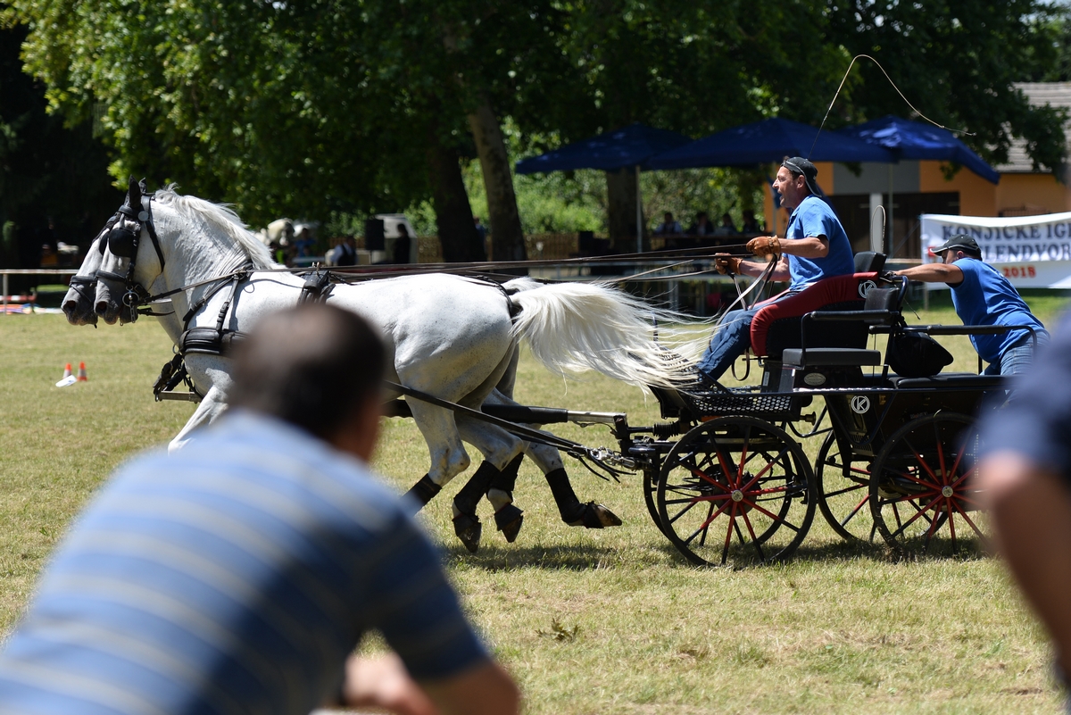 Konjičke igre u Zelendvoru