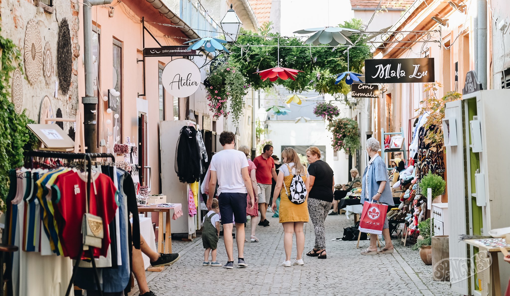 Image 5455222 (auto)