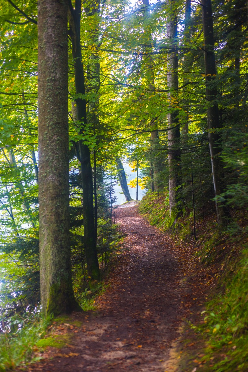 Jesen u Trakošćanu