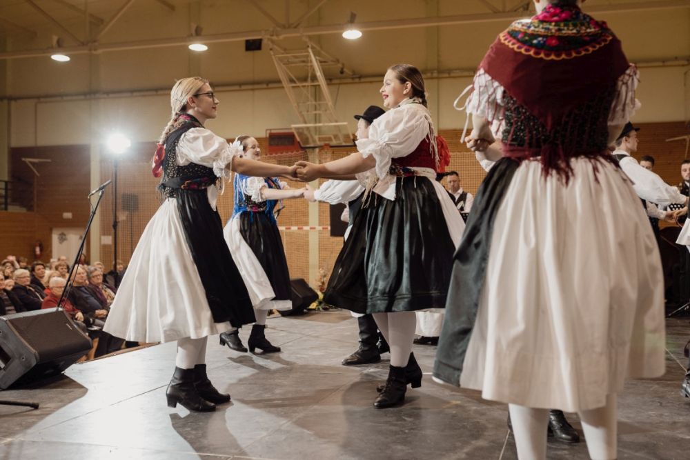 Image 5911771 (auto)