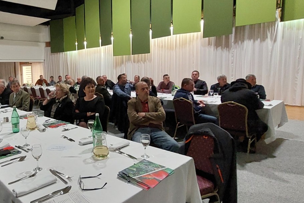 Image 5631937 (auto)