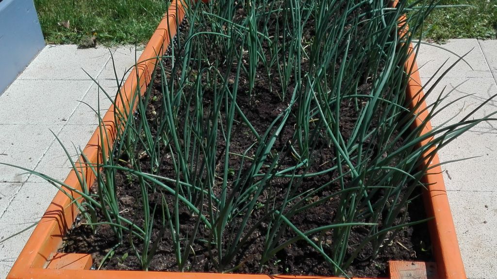 img20180425123328294215