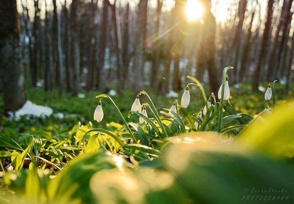 Zima i proljeće, Ivanščica