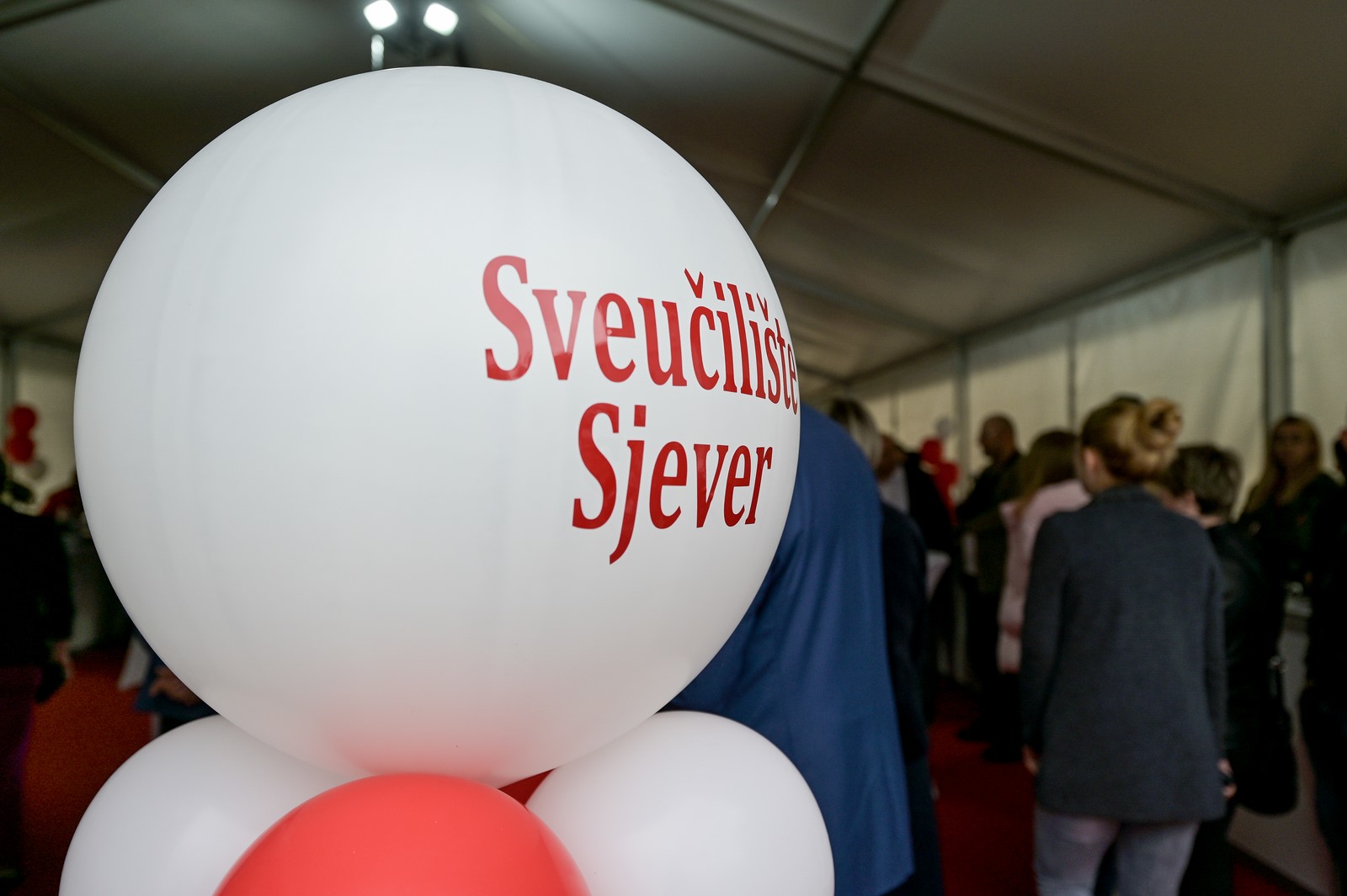 Image 5668877 (auto)