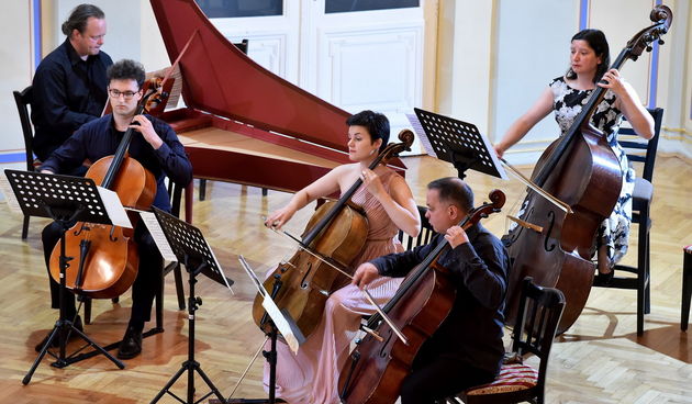 Varaždinski komorni orkestar