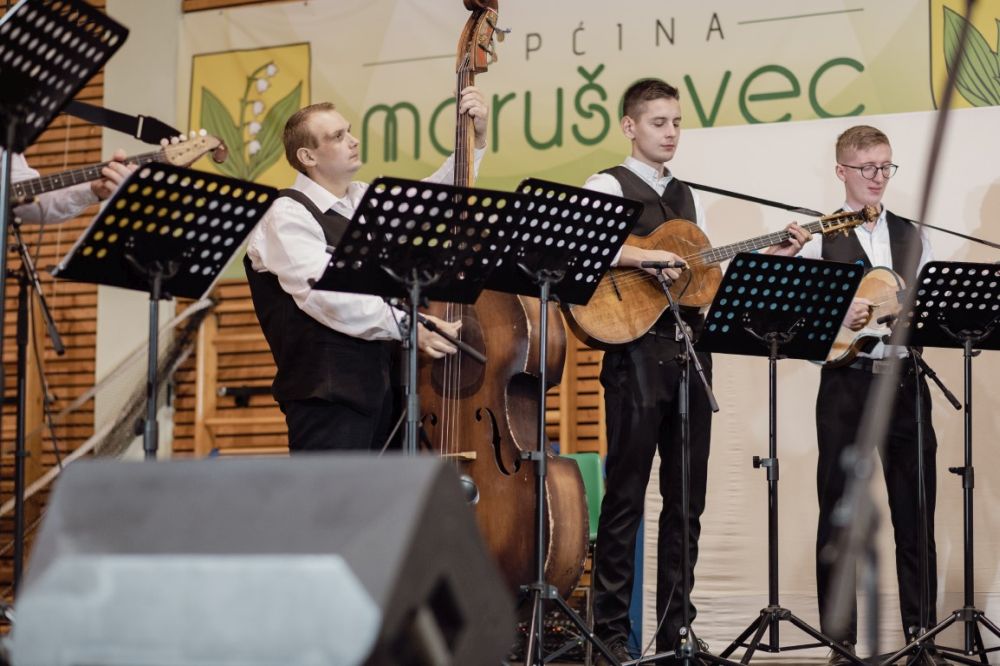 Image 5911825 (auto)