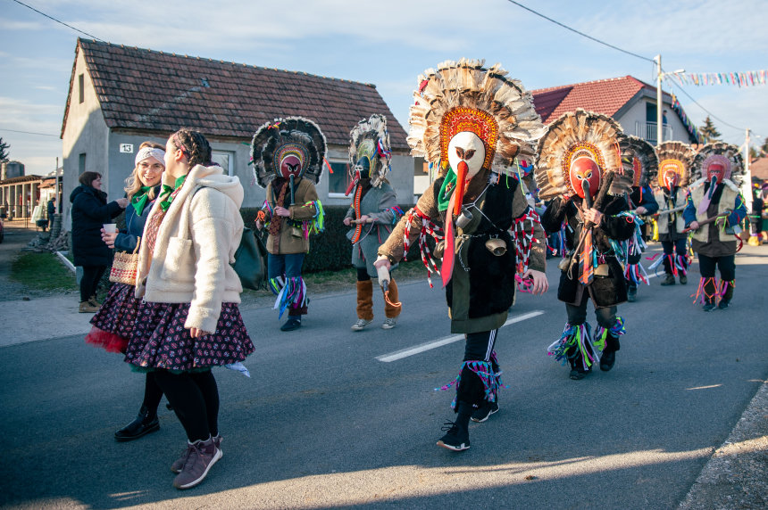 Image 5606879 (auto)