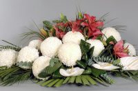 44178798_1412740882190524_7068578947222470656_n 44178798_1412740882190524_7068578947222470656_n