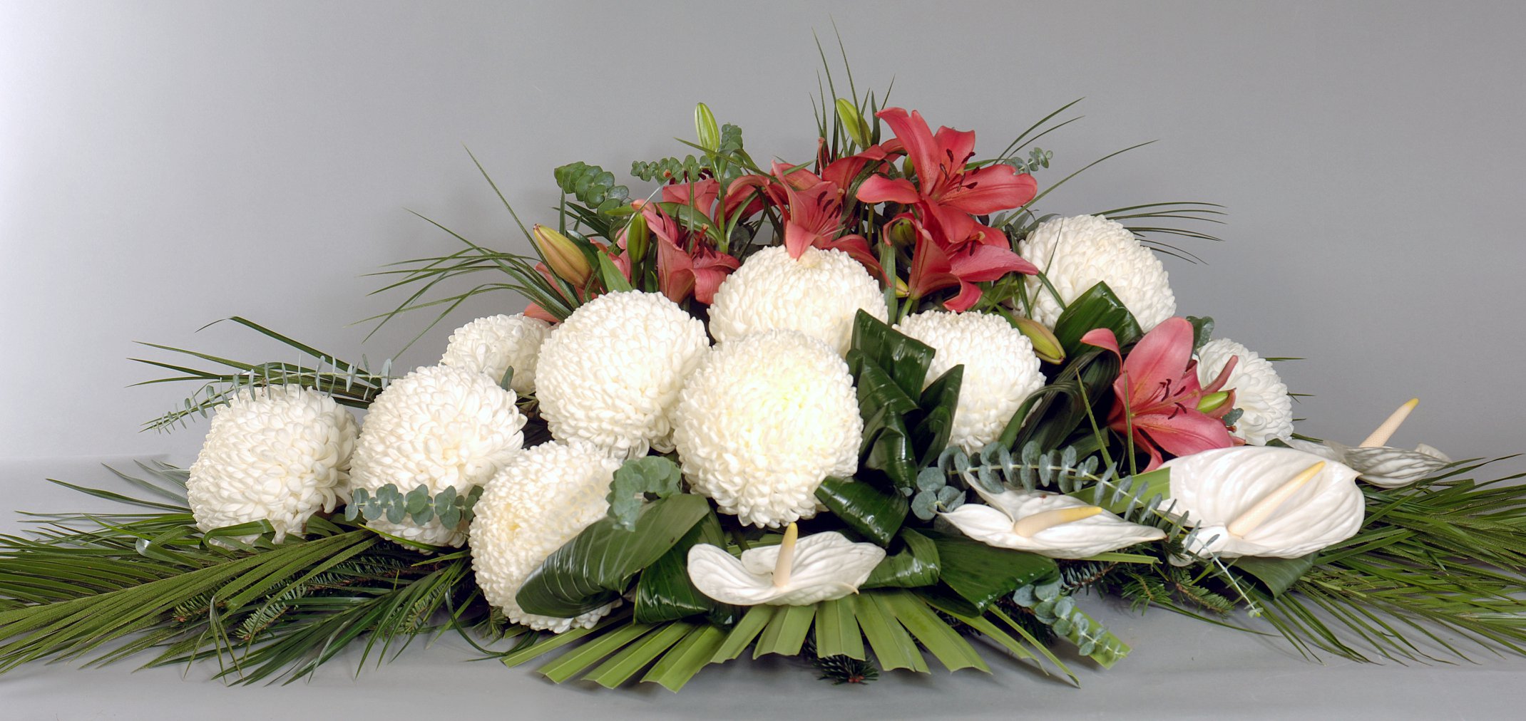 44178798_1412740882190524_7068578947222470656_n 44178798_1412740882190524_7068578947222470656_n