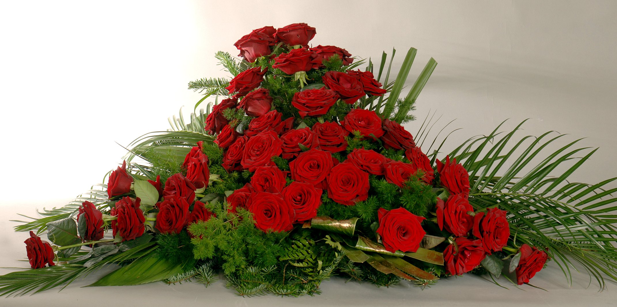 44186007_1412740892190523_5070975720683995136_n 44186007_1412740892190523_5070975720683995136_n