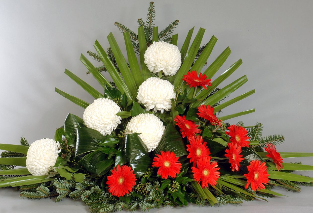 44307039_1412741005523845_7560576401691115520_n